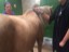 IMG-20161004-WA0002