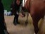 IMG-20161004-WA0003